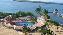 Condo pool view Condo pool view