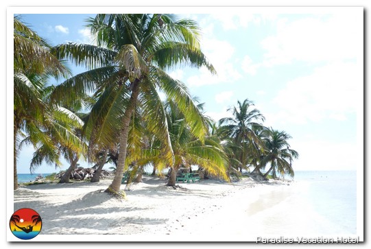 Laughingbird Caye National Park by Henrik Bruun/CreekSolutions